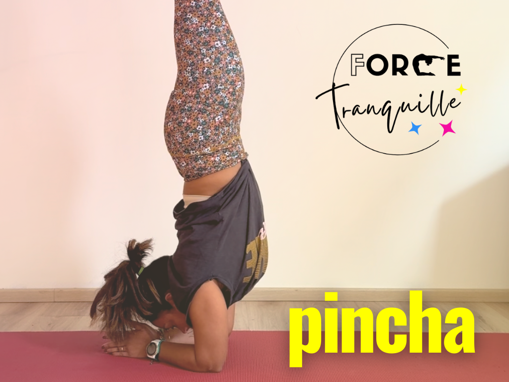 FORCE TRANQUILLE - Pincha