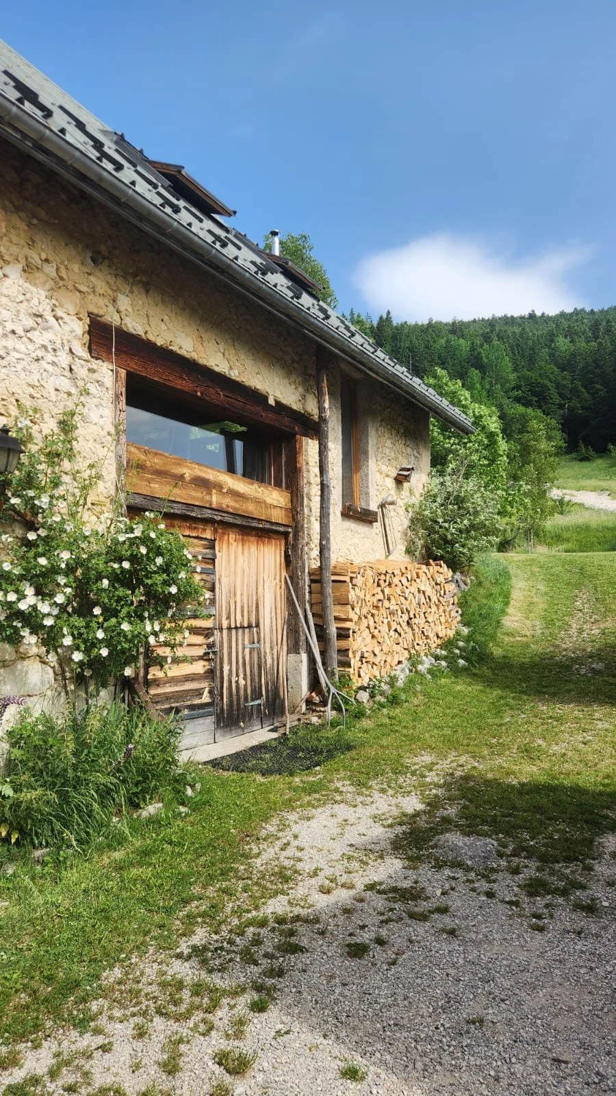 446220a2-1902-422f-bbe7-d7abd976ec56 2.JPG