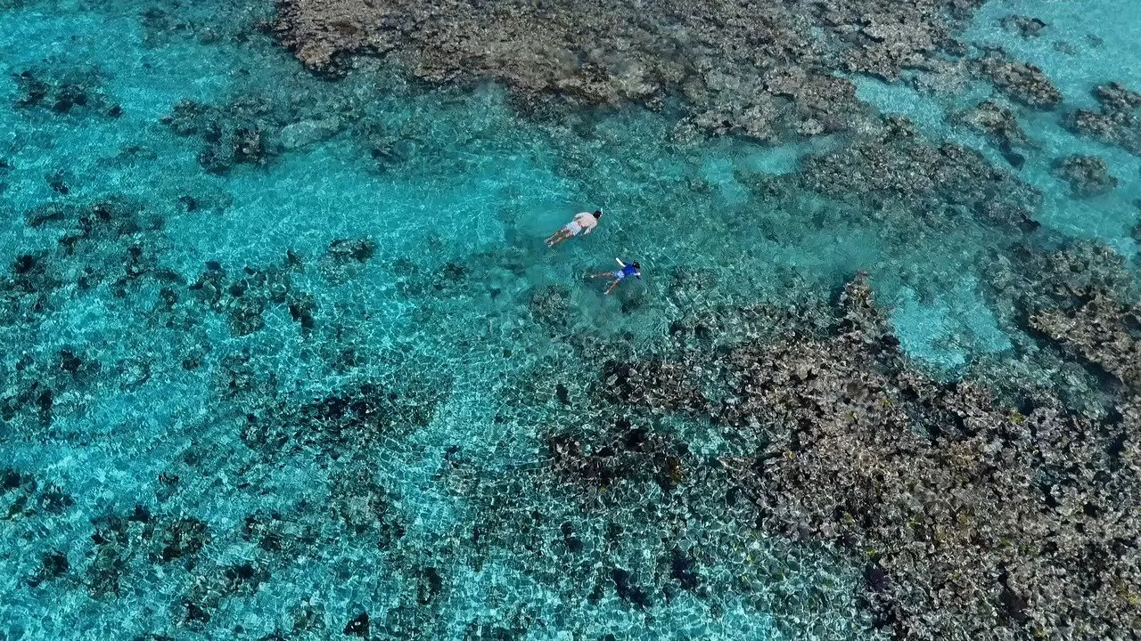 Bahamas