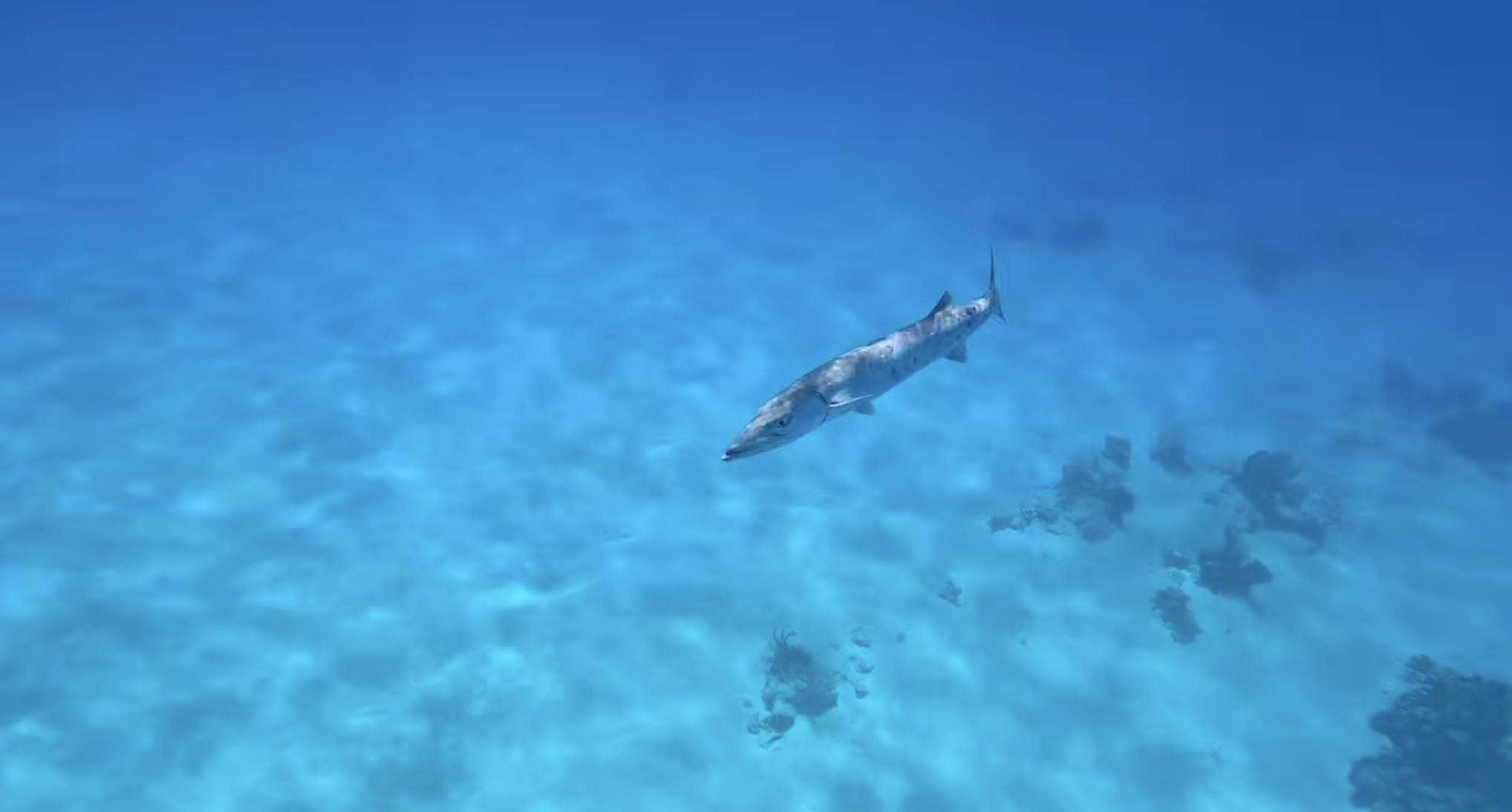 Screenshot 2026-03-26 at 1.33.24 pm.png