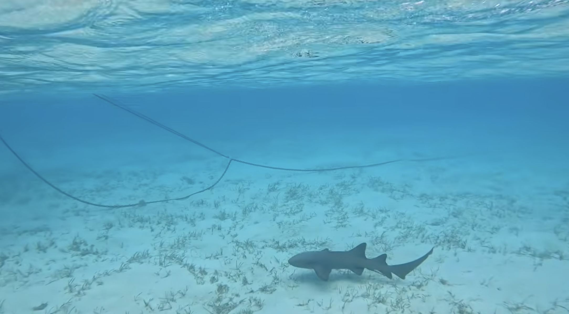 Screenshot 2026-03-26 at 2.33.19 pm.png