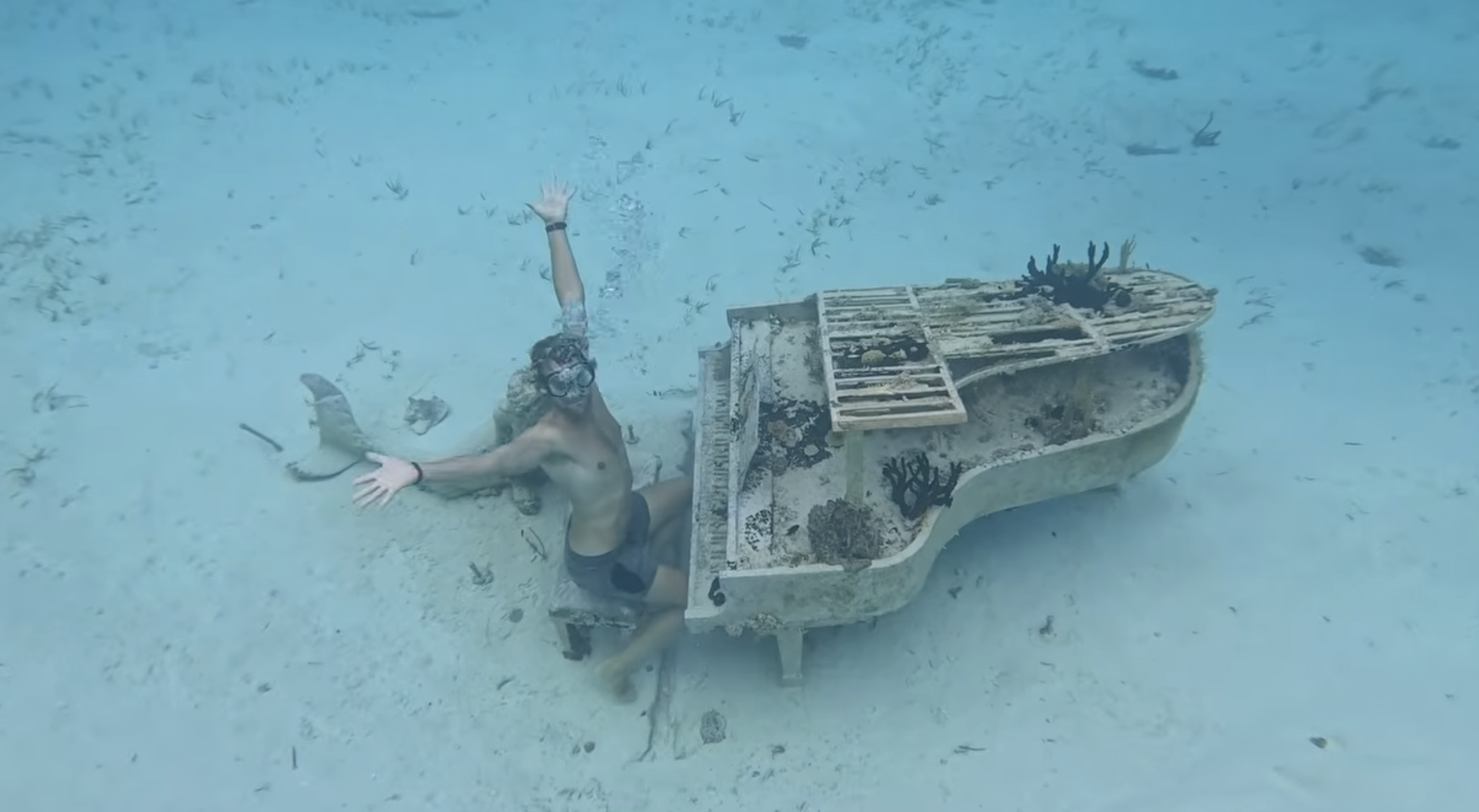 Screenshot 2026-03-26 at 2.33.50 pm.png