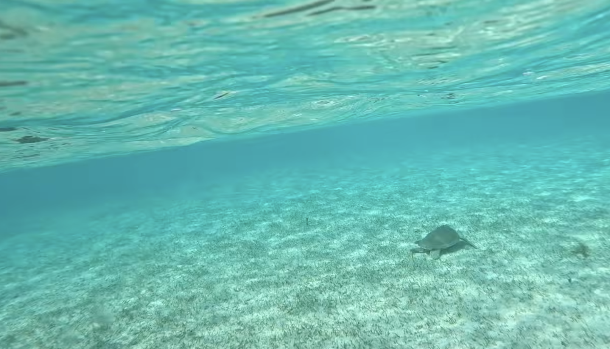 Screenshot 2026-03-26 at 2.36.59 pm.png