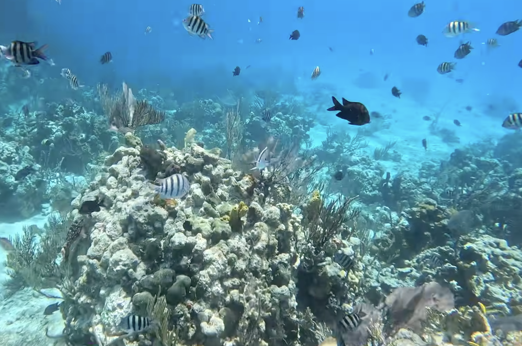 Screenshot 2026-03-26 at 8.07.56 pm.png