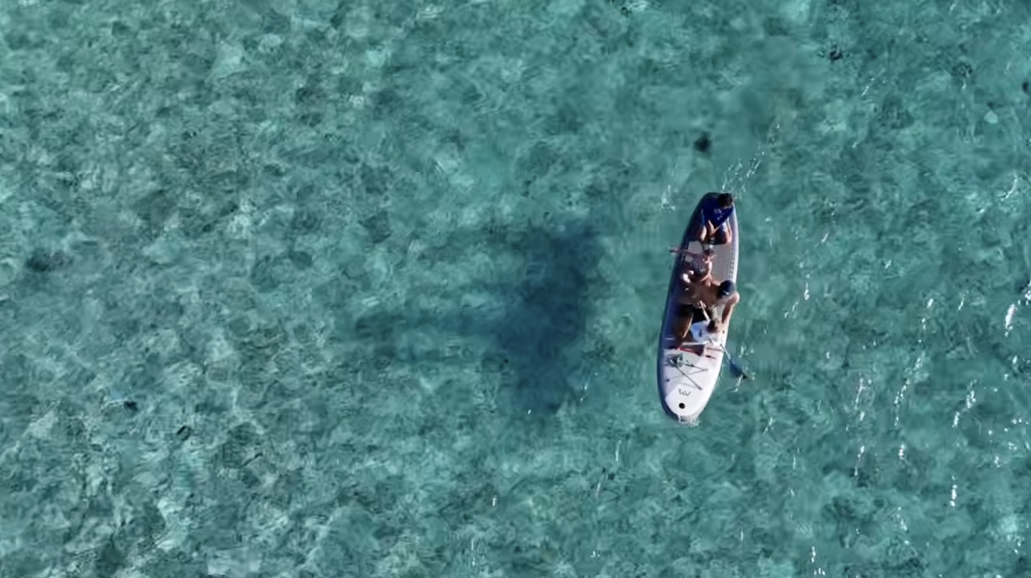 Screenshot 2026-03-26 at 8.24.56 pm.png