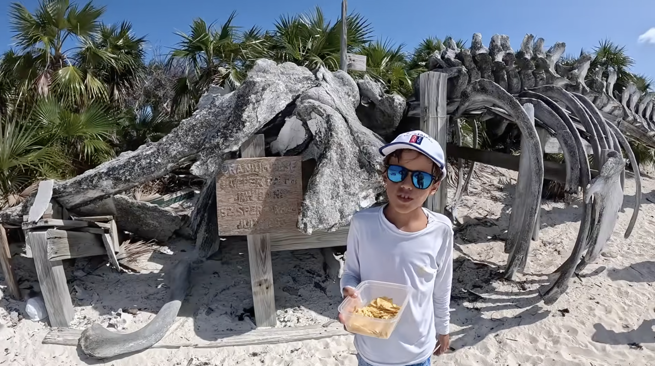 Screenshot 2026-03-26 at 10.20.34 pm.png