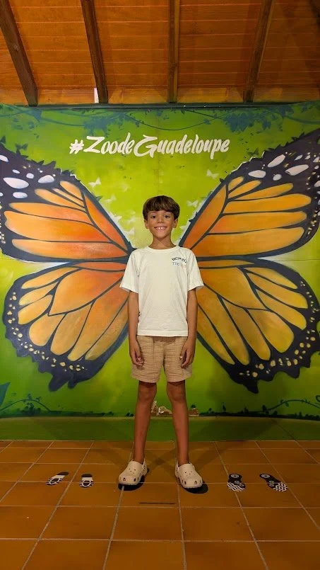 One of the most beautiful zoos we've been to was in Guadeloupe, nestled in a forest!