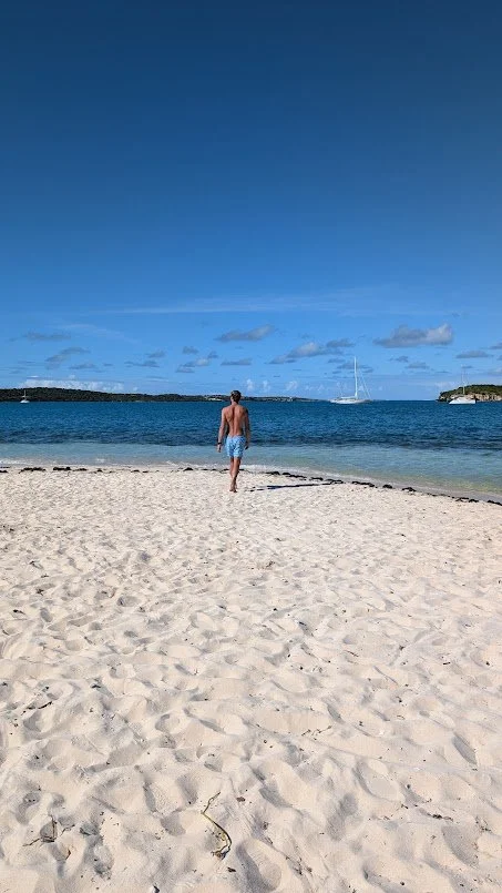 Ant speaking to the wind gods!