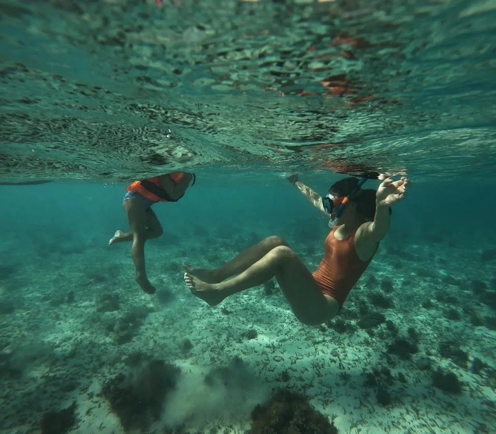 It was Maddie's first time proper snorkelling and the first thing she sees is a TURTLE...