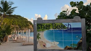 A little afternoon dip at Shell Beach!