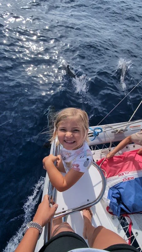A few more dolphins came to say hello as our time at sea was nearing the end!