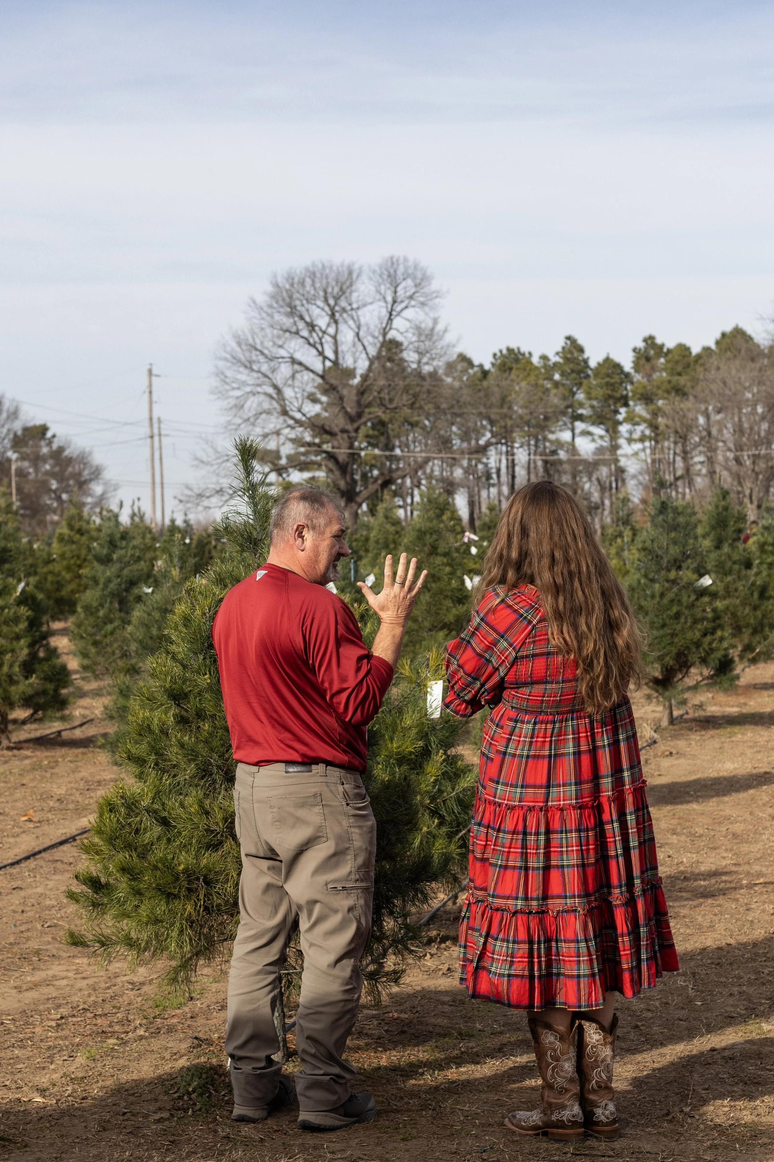A man and woman having a conversation outdoors at a Christmas tree farm, with rows of Christmas trees in the background. The man is wearing a red shirt and beige pants, and the woman is wearing a red plaid dress and cowboy boots.