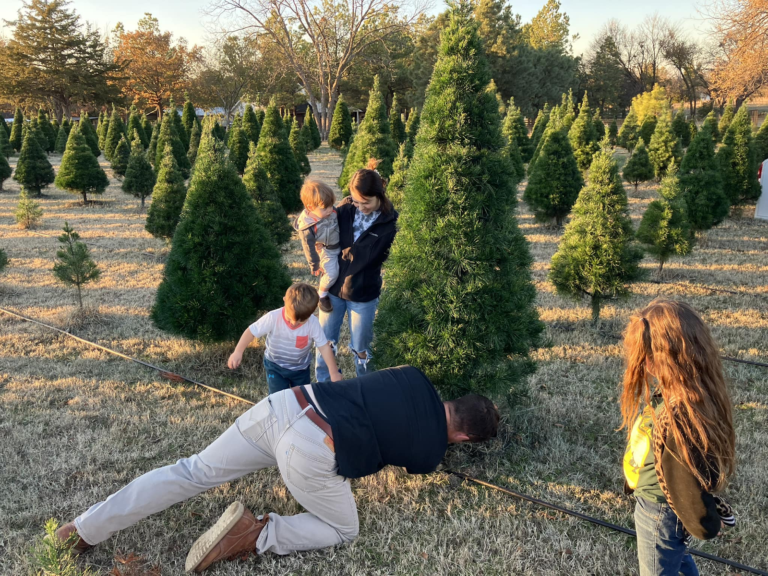 People in a Christmas tree farm selecting a tree, with stacked evergreen trees and autumn foliage in the background.
