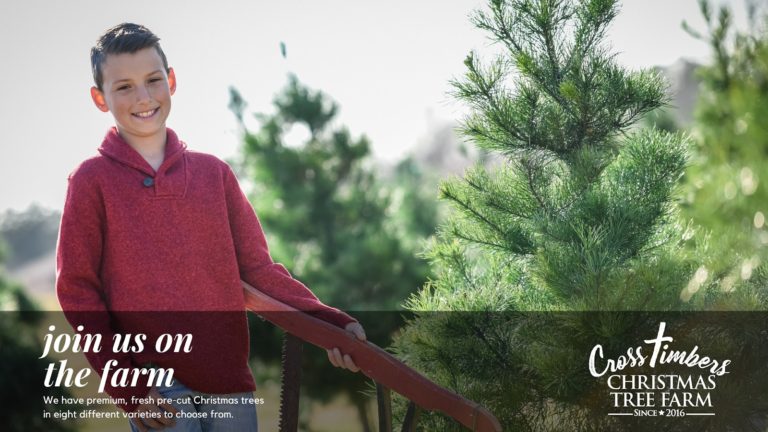 A young boy holding a saw outdoors near Christmas trees on a farm.