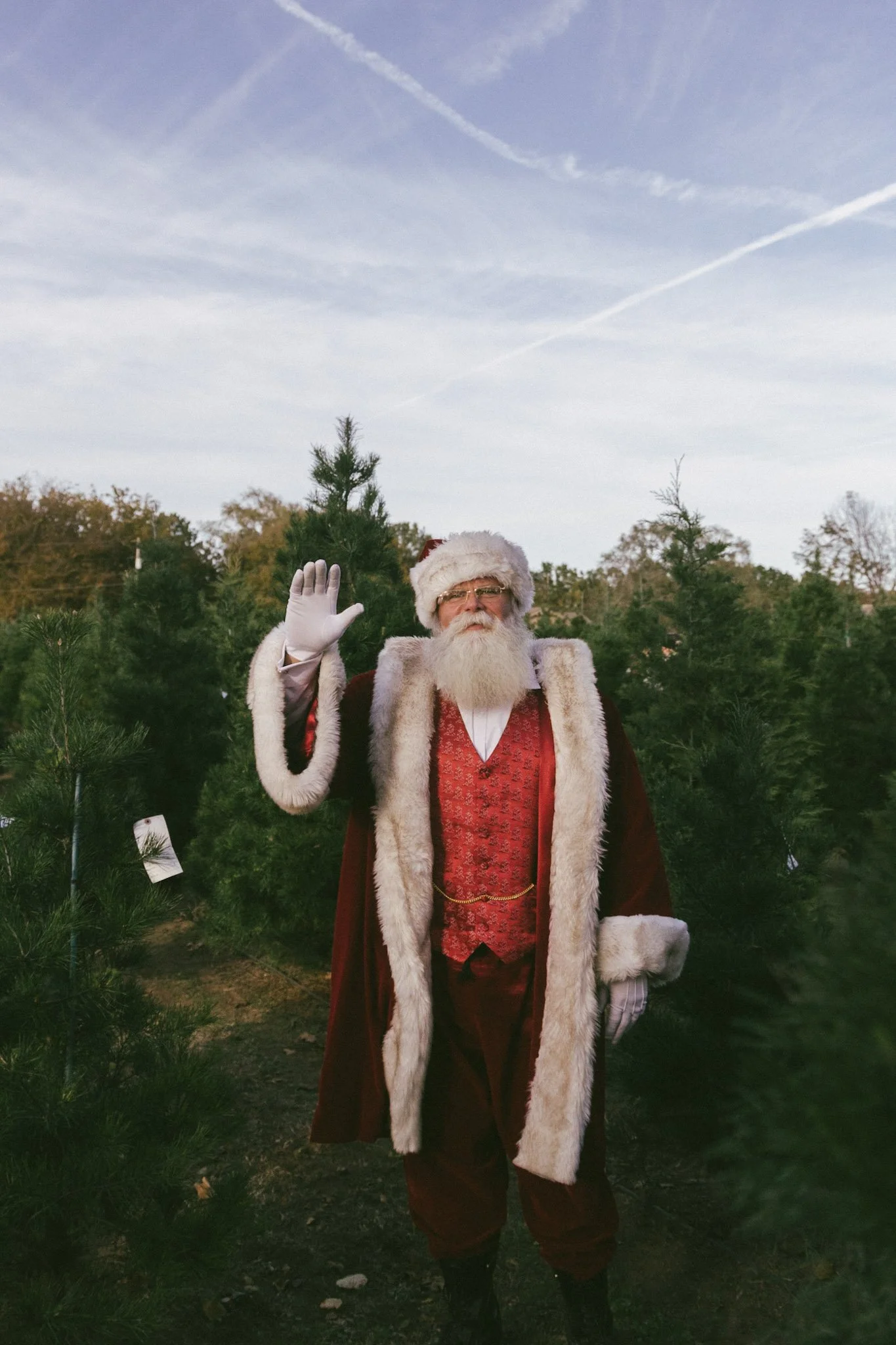 A man dressed as Santa Claus waving in front of Christmas trees outdoors, with a blue sky and contrail in the background.