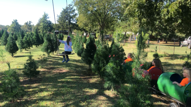 Children riding in a green tube-shaped ride at a Christmas tree farm, with a woman on a swing nearby.