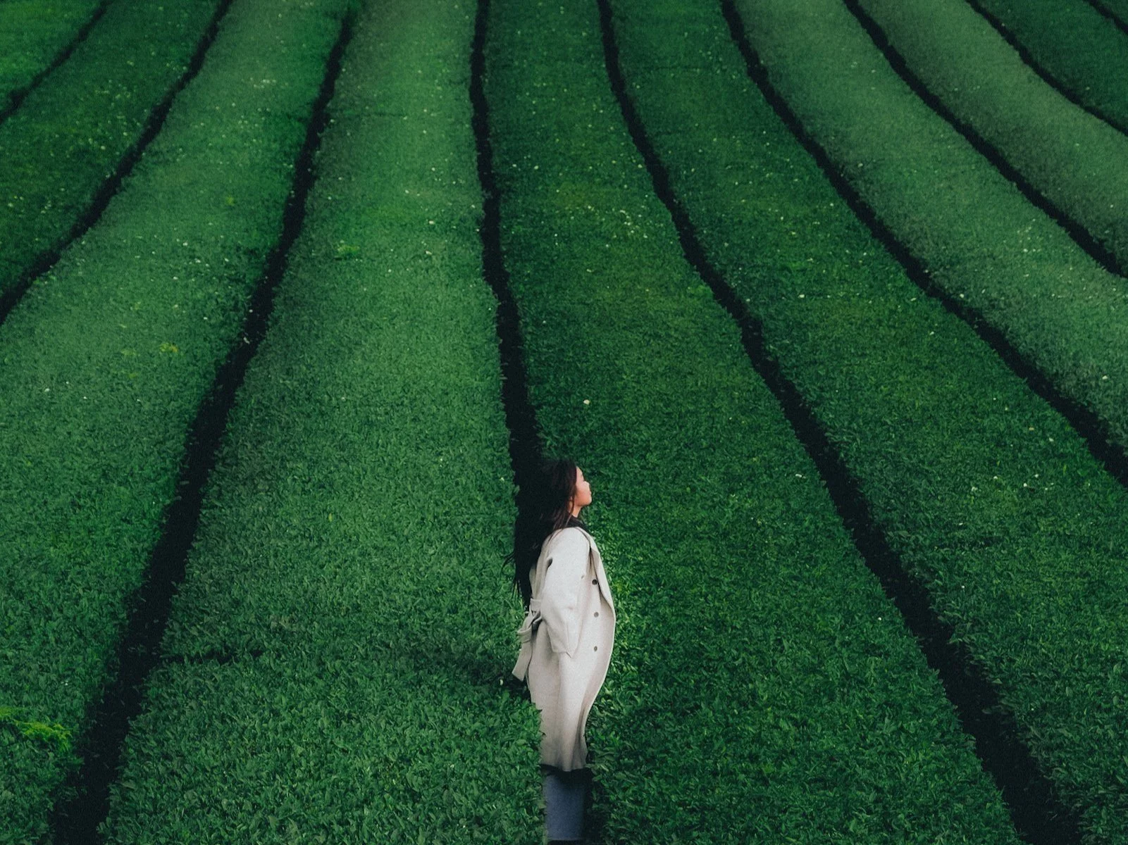 A woman in a beige coat standing in a lush green tea plantation, surrounded by neatly trimmed tea bushes.