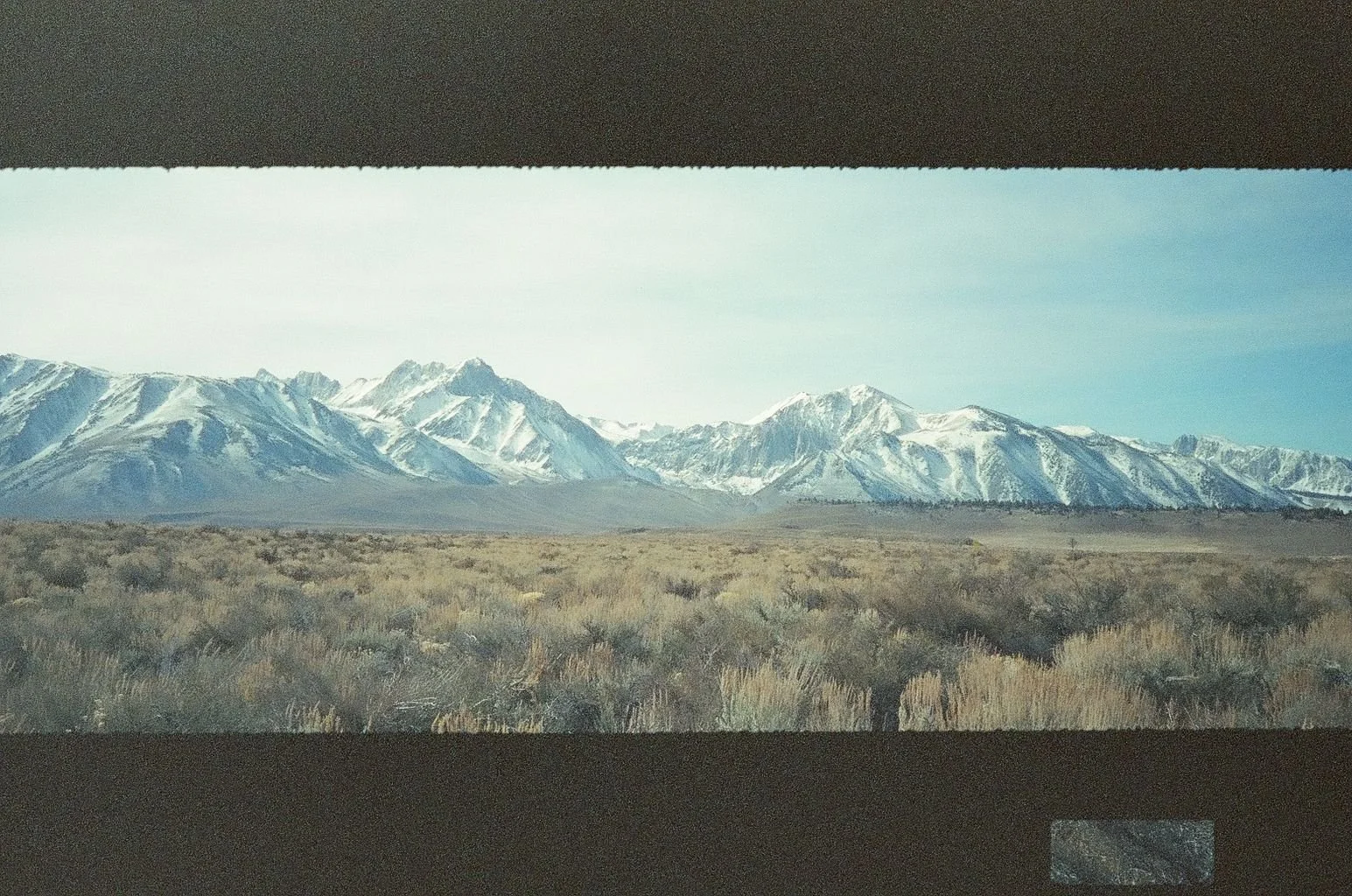 Why I Still Shoot 35mm Film