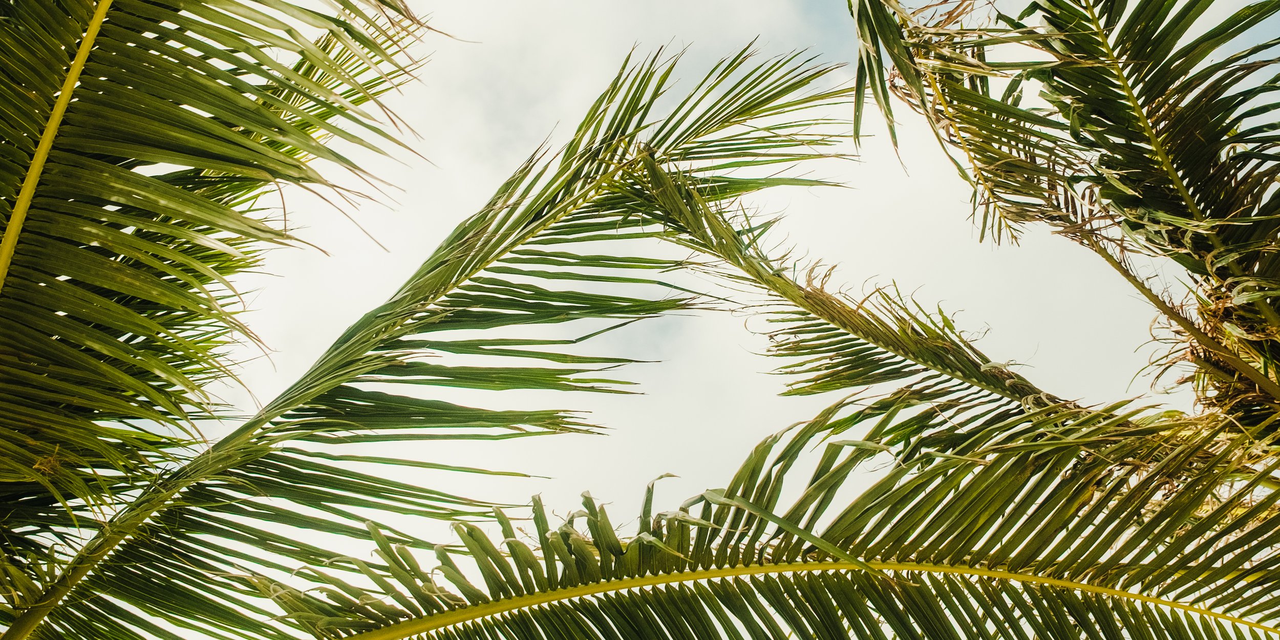 Become an affiliate, brand, partner or potential future collaborator.