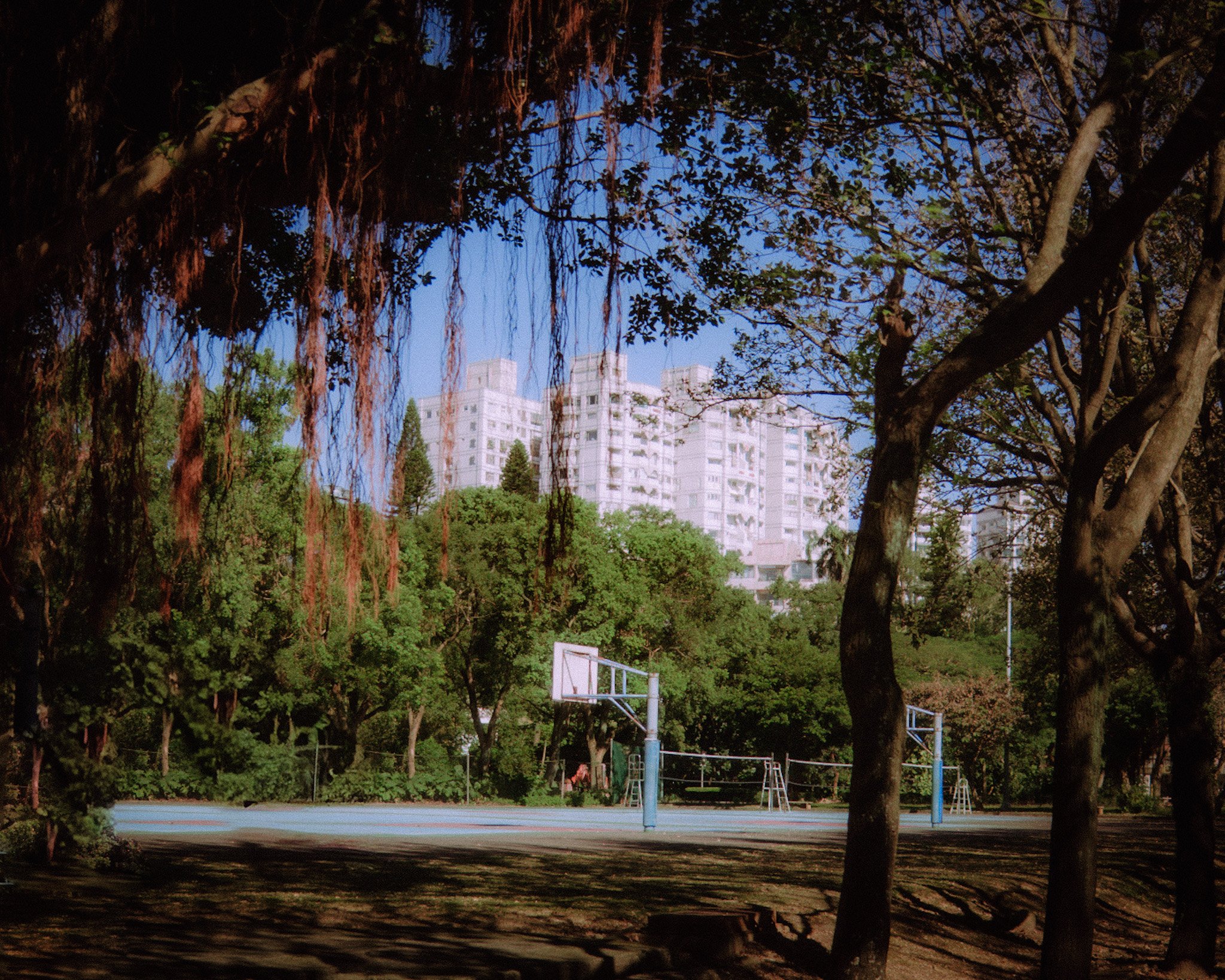 DSCF5215.jpg