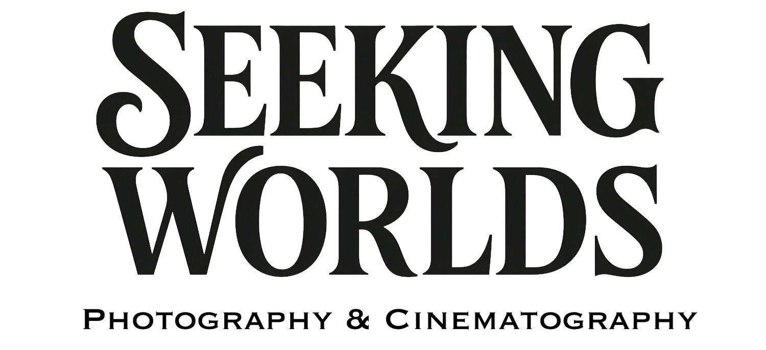 Seeking Worlds