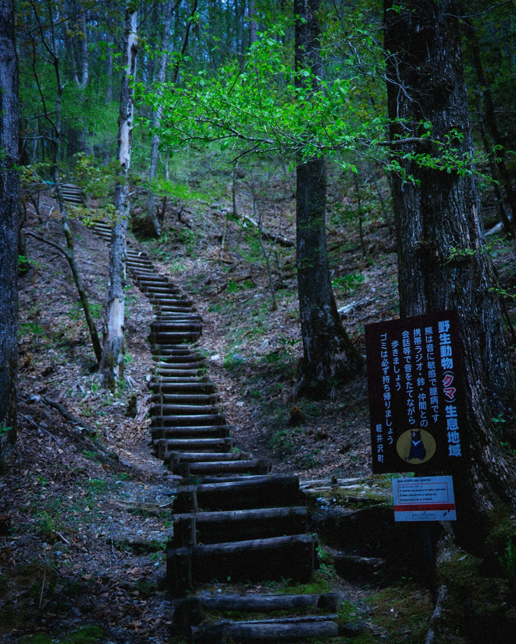 DSCF8391.jpg