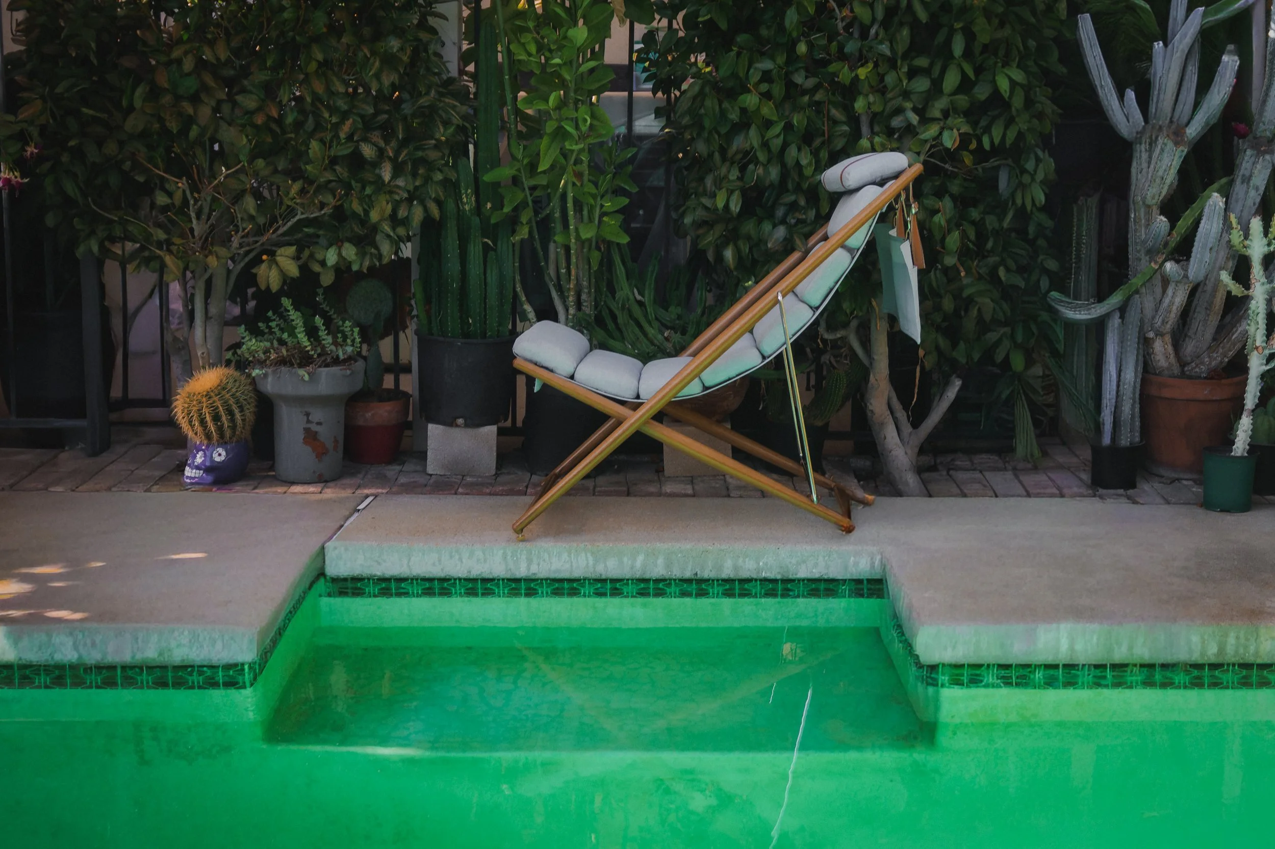 Rove Lab Solaris sling chair with gray cushions beside a green pool, surrounded by potted cactus and leafy plants