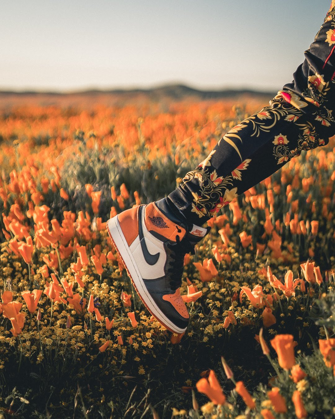Close-up of a person wearing NBA Air Jordan 1 sneakers in black, orange, and white, stepping on a field of orange flowers, with floral patterned pants and a clear sky in the background.