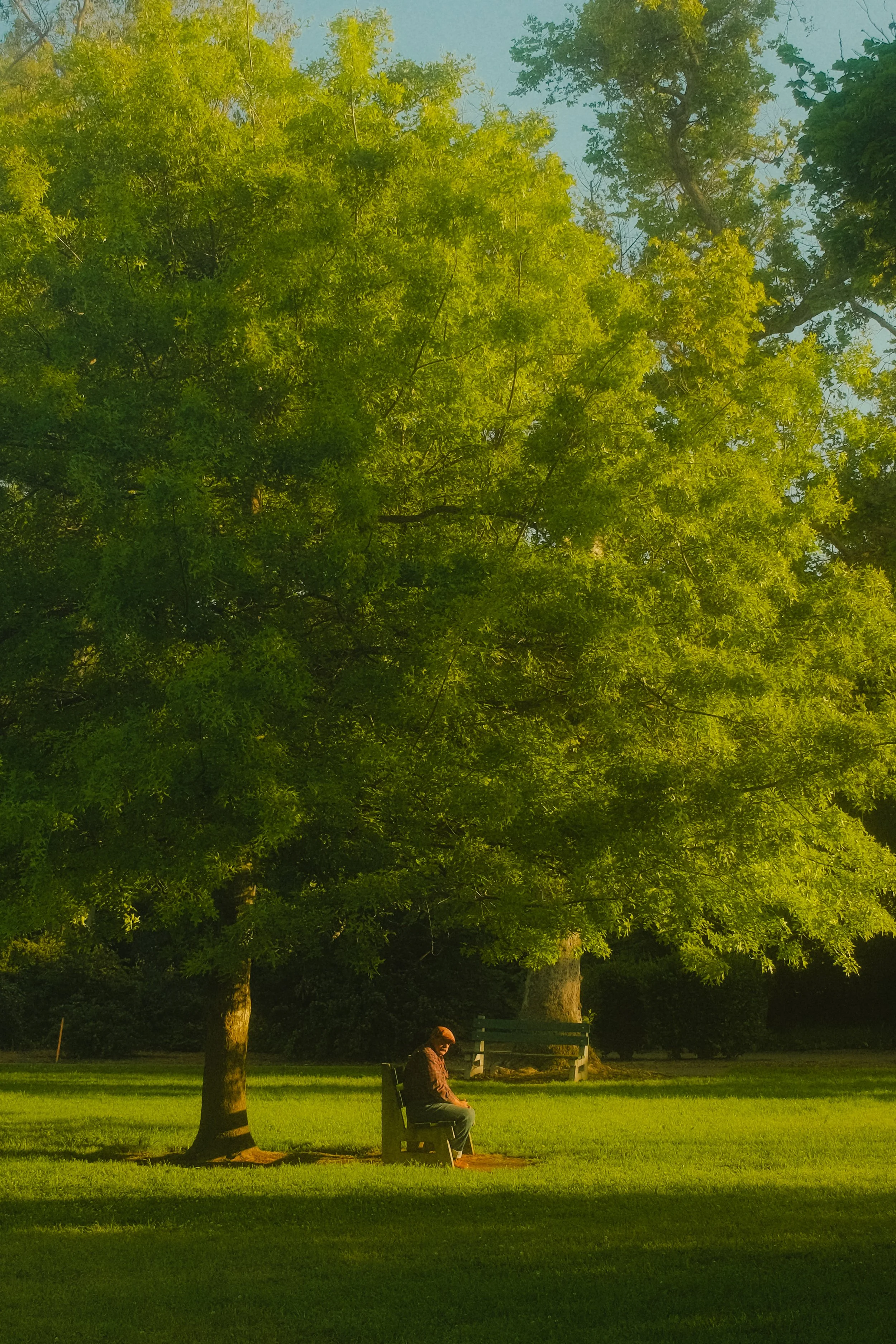 DSCF6952.JPG