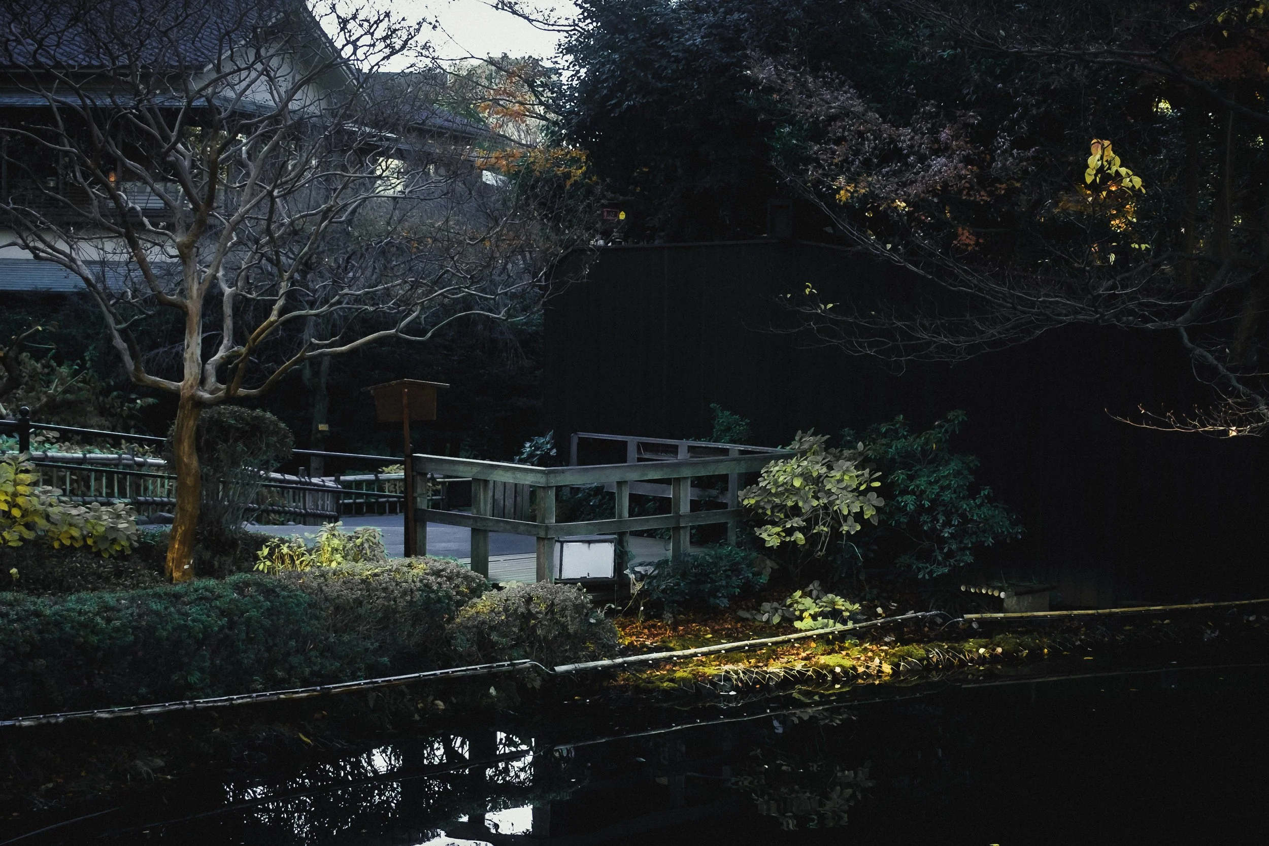 Nighttime view of a small garden next to a pond, with trees and bushes, some leaves on the ground, and a wooden fence and pathway.