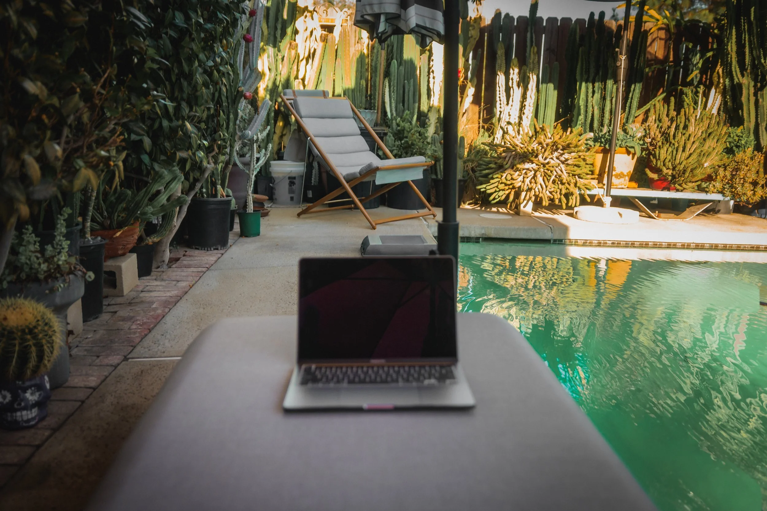 Open laptop on the chaise lounge with the pool on the right and the sling chair among cactus in the background