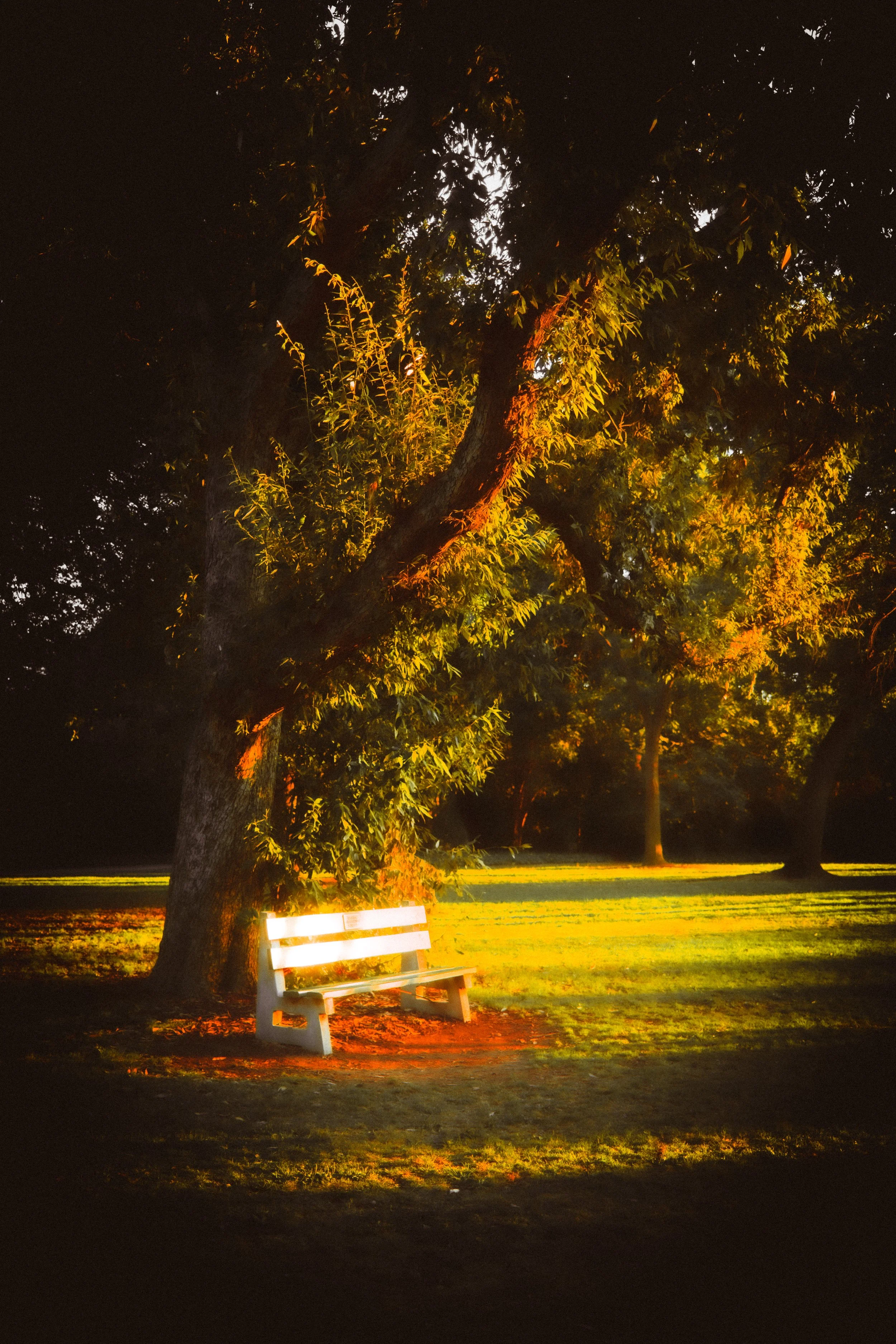 DSCF3836.jpg
