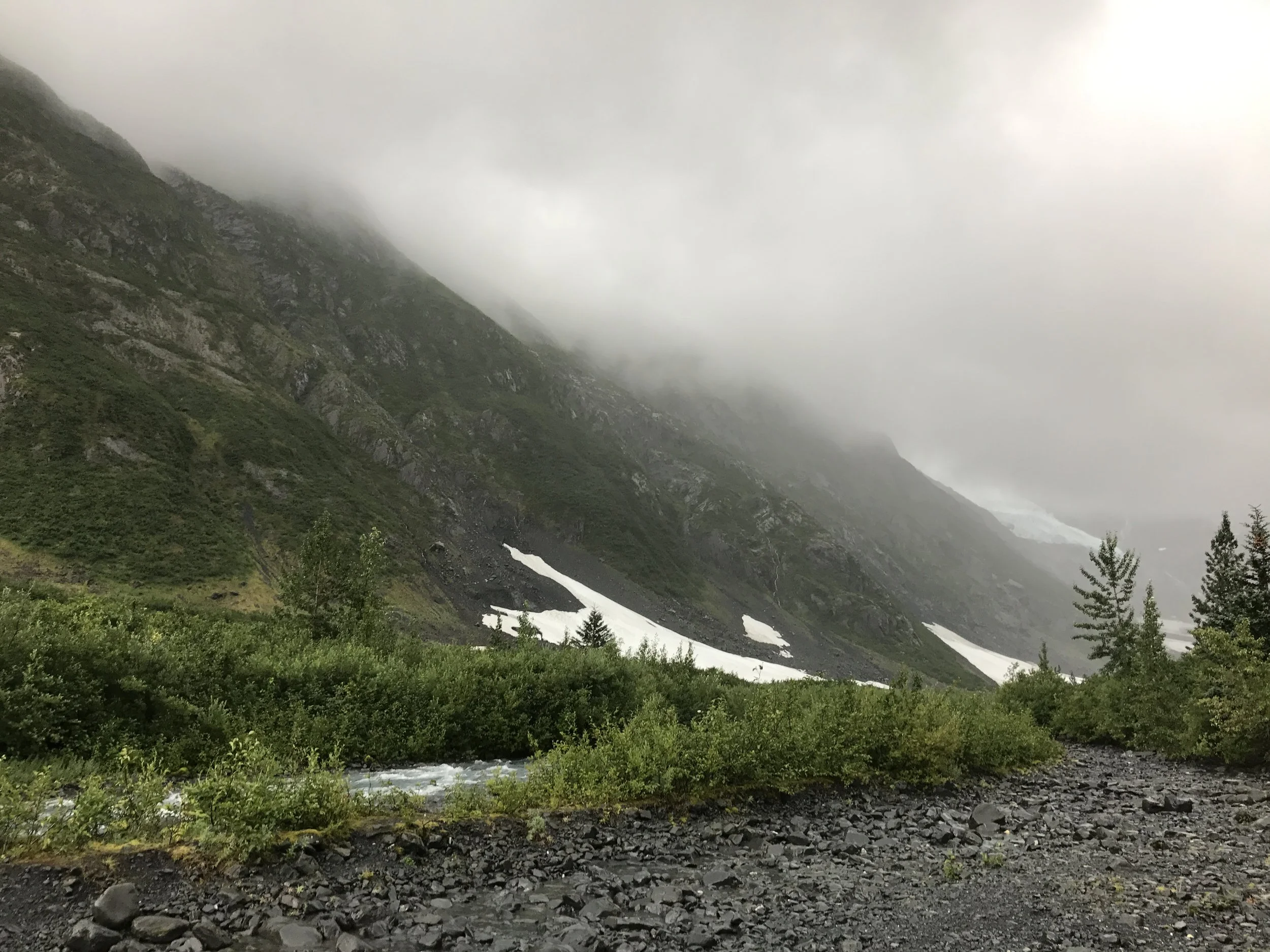In the Fog: Finding the Courage to Dream Again