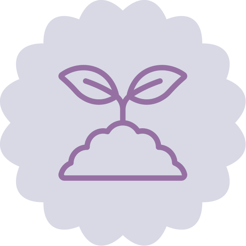 Plan growing icon