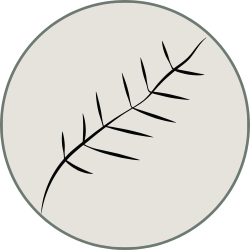 A simple illustration of a black leaf or branch with multiple smaller branches extending from a central stem, on a circular, light gray background.