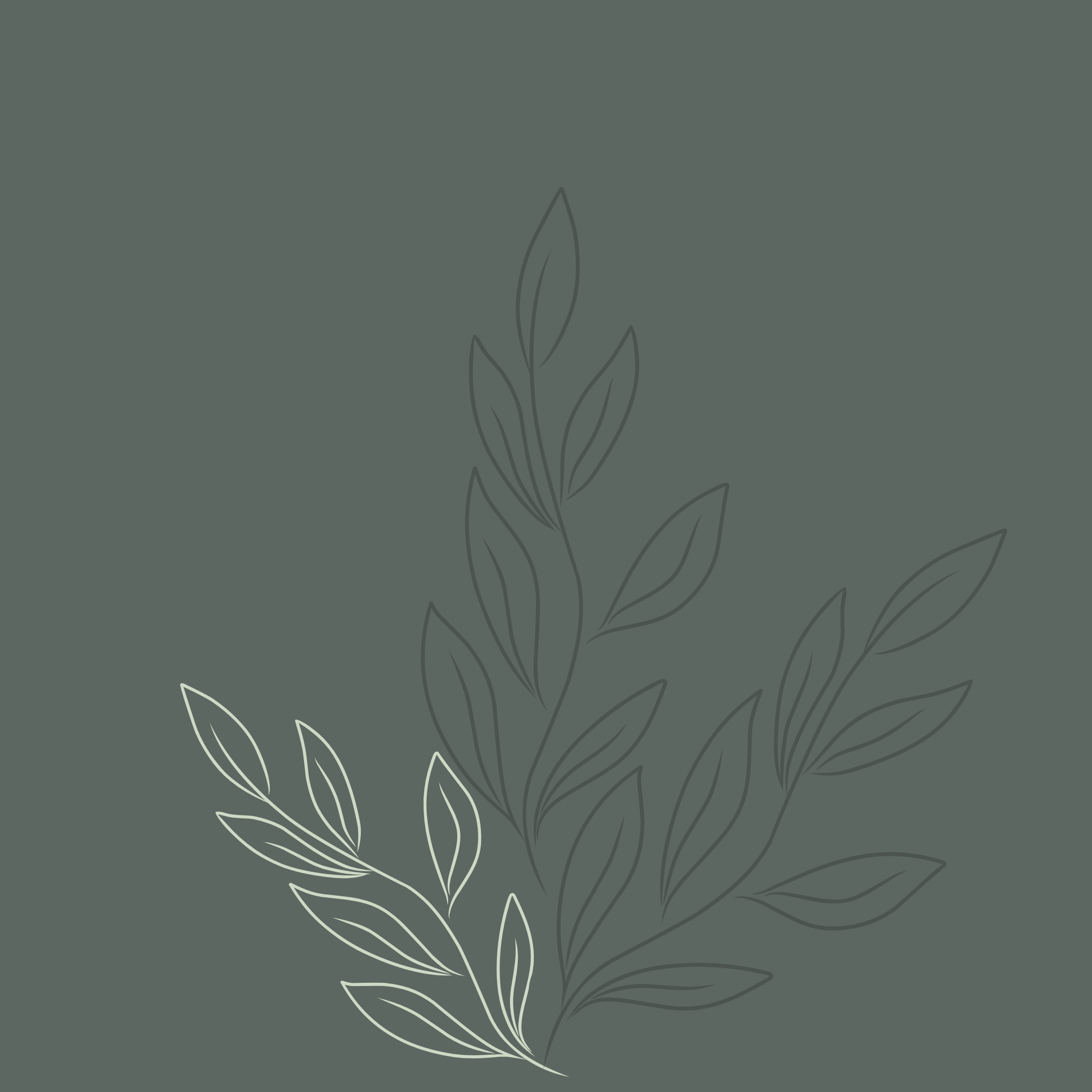 6.png