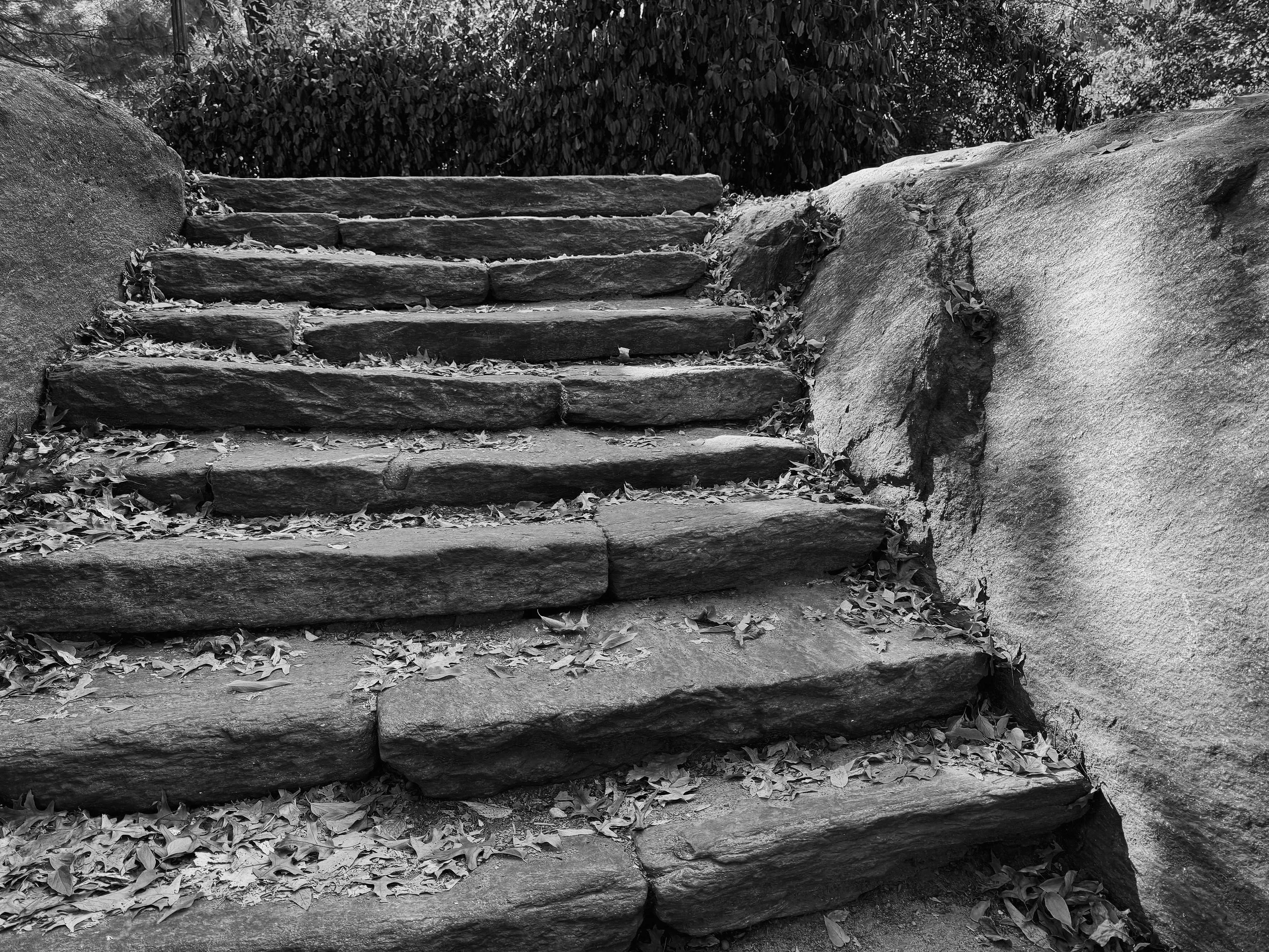 Steps to getting a tattoo in Calgary