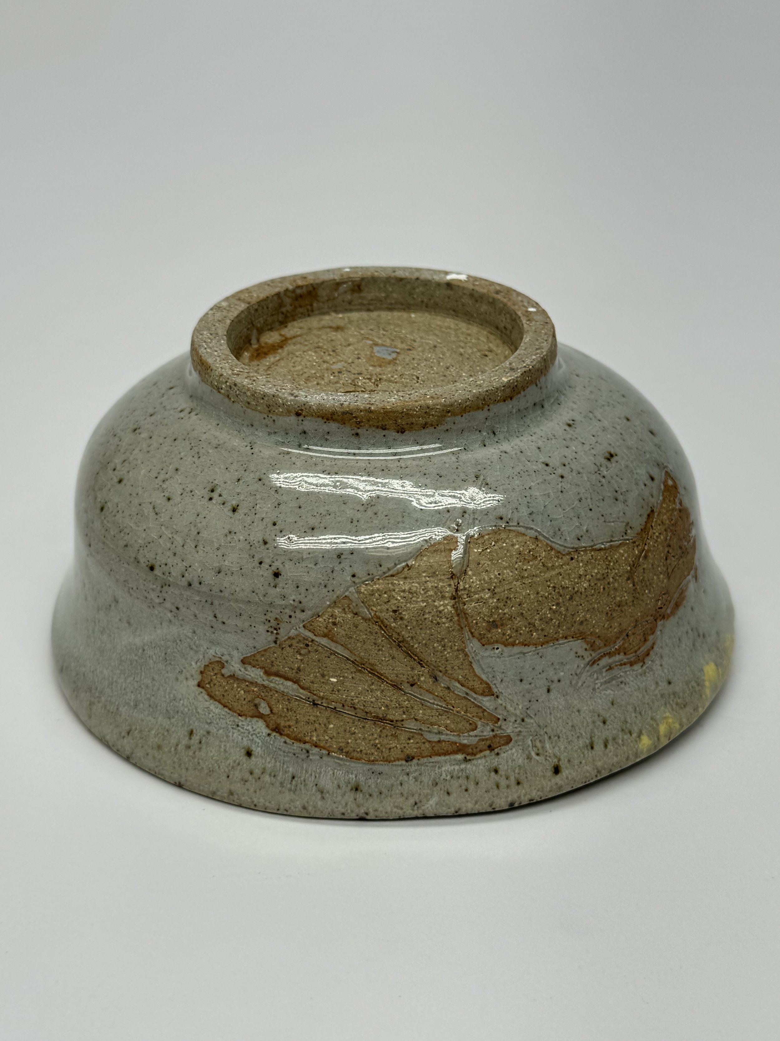 Fall Saga Bowls: Wyvern