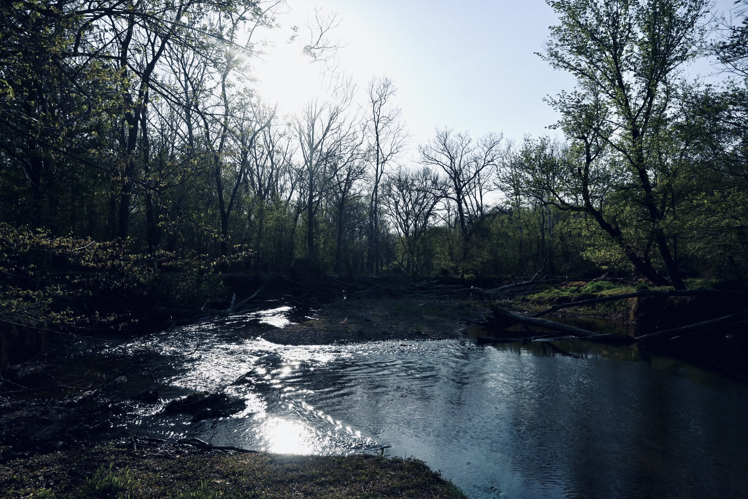 DSC_2203.jpg