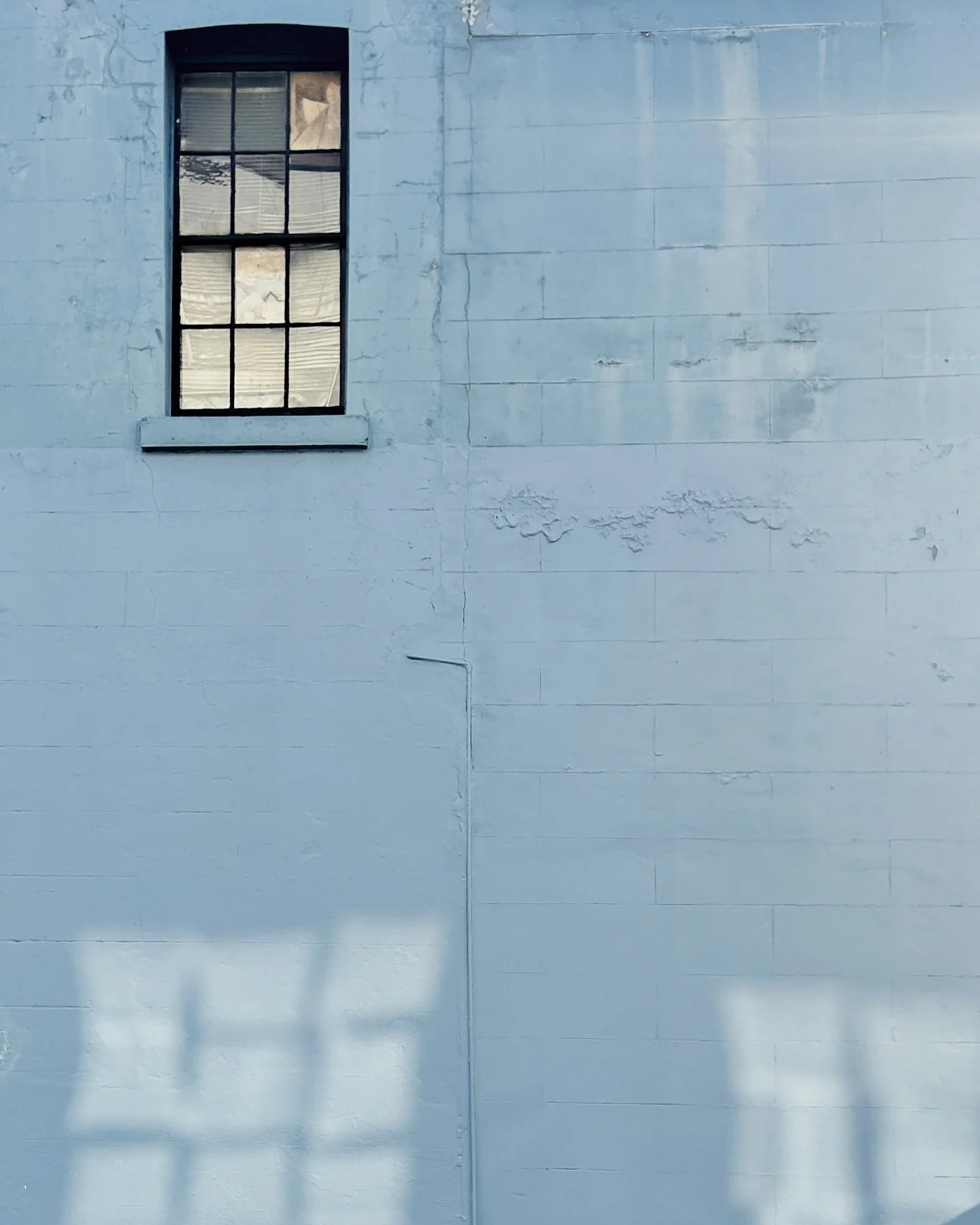 Sunday sun studies to celebrate making it to the other side of the solstice 🌞 [say that three times fast]