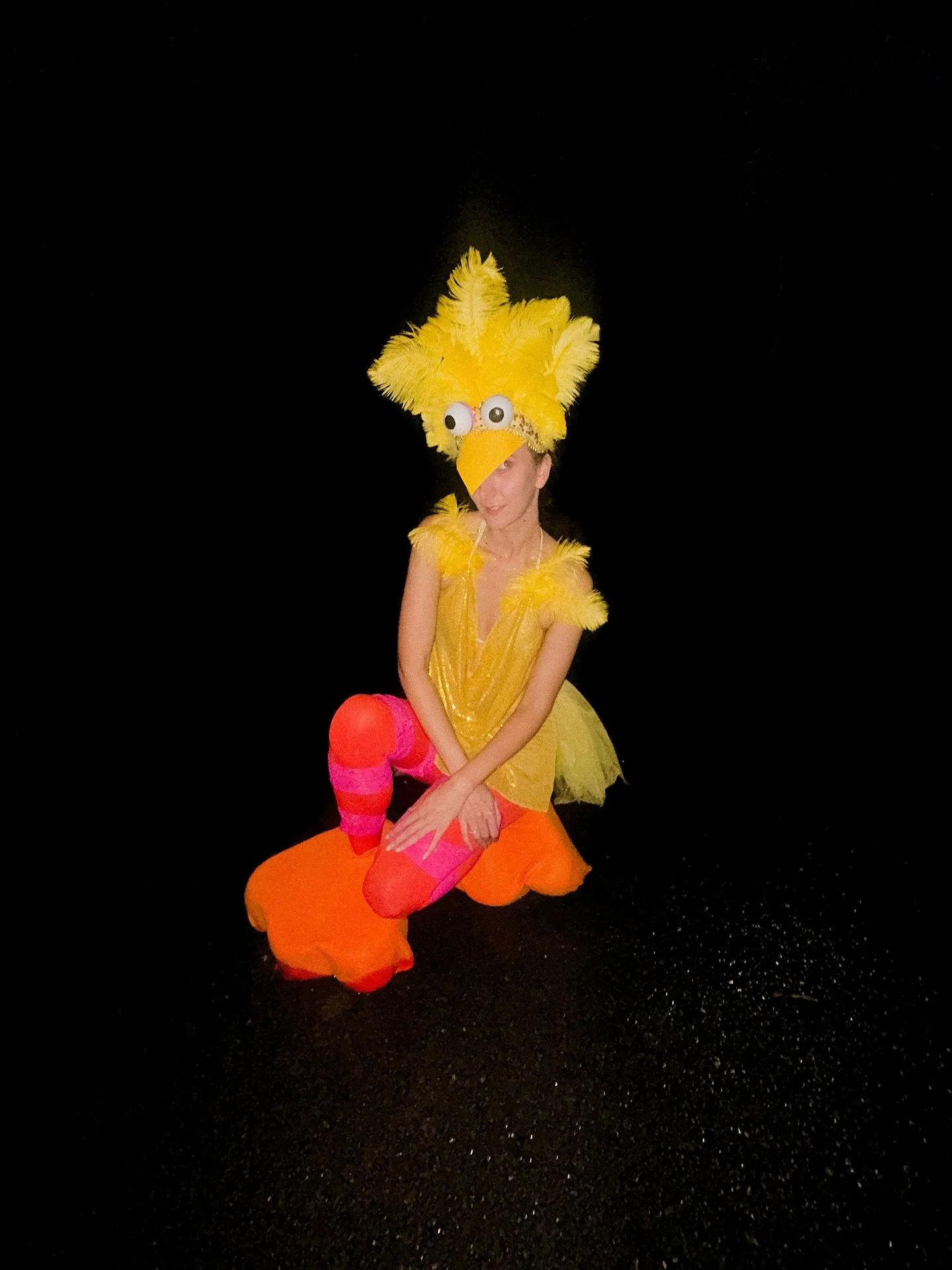 The life of a big (show) bird 🐥❤️&zwj;🔥