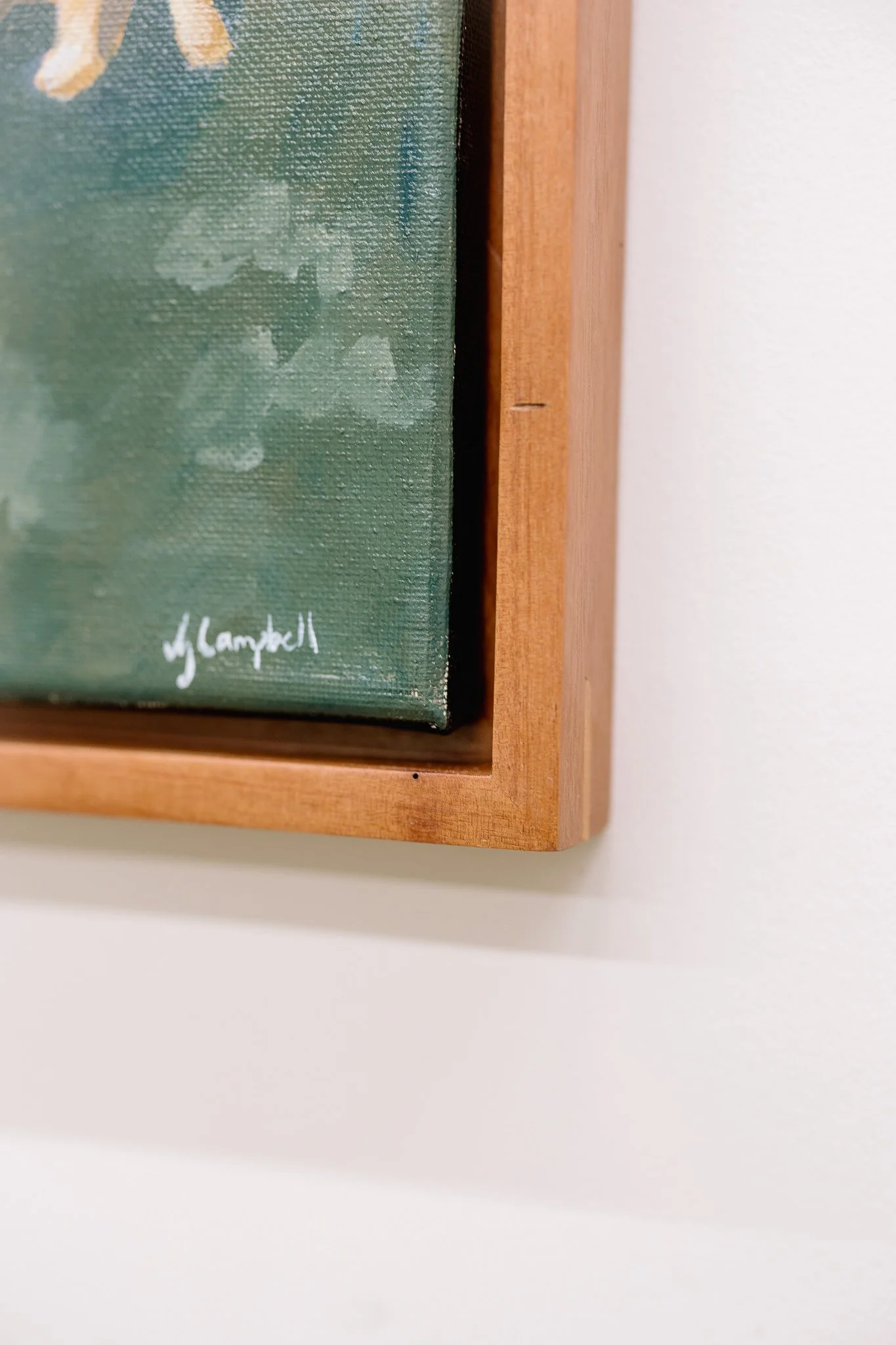Spotted Gum