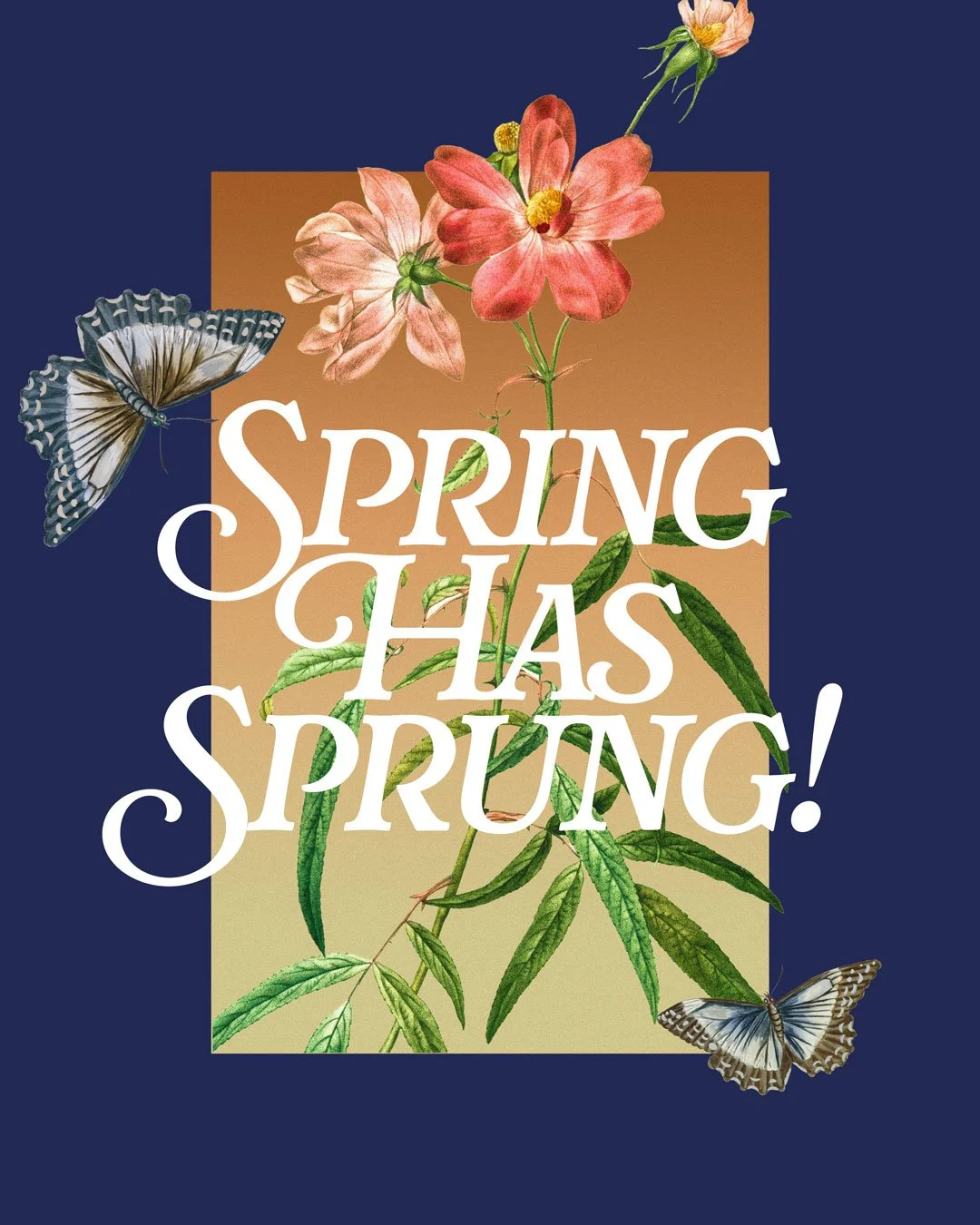 As creation wakes up again, we&rsquo;re reminded that God is always at work. He's bringing life from what looked dormant and hope from places we thought were finished.

#jchubchurch #jerseycity #cogop #urbanministry