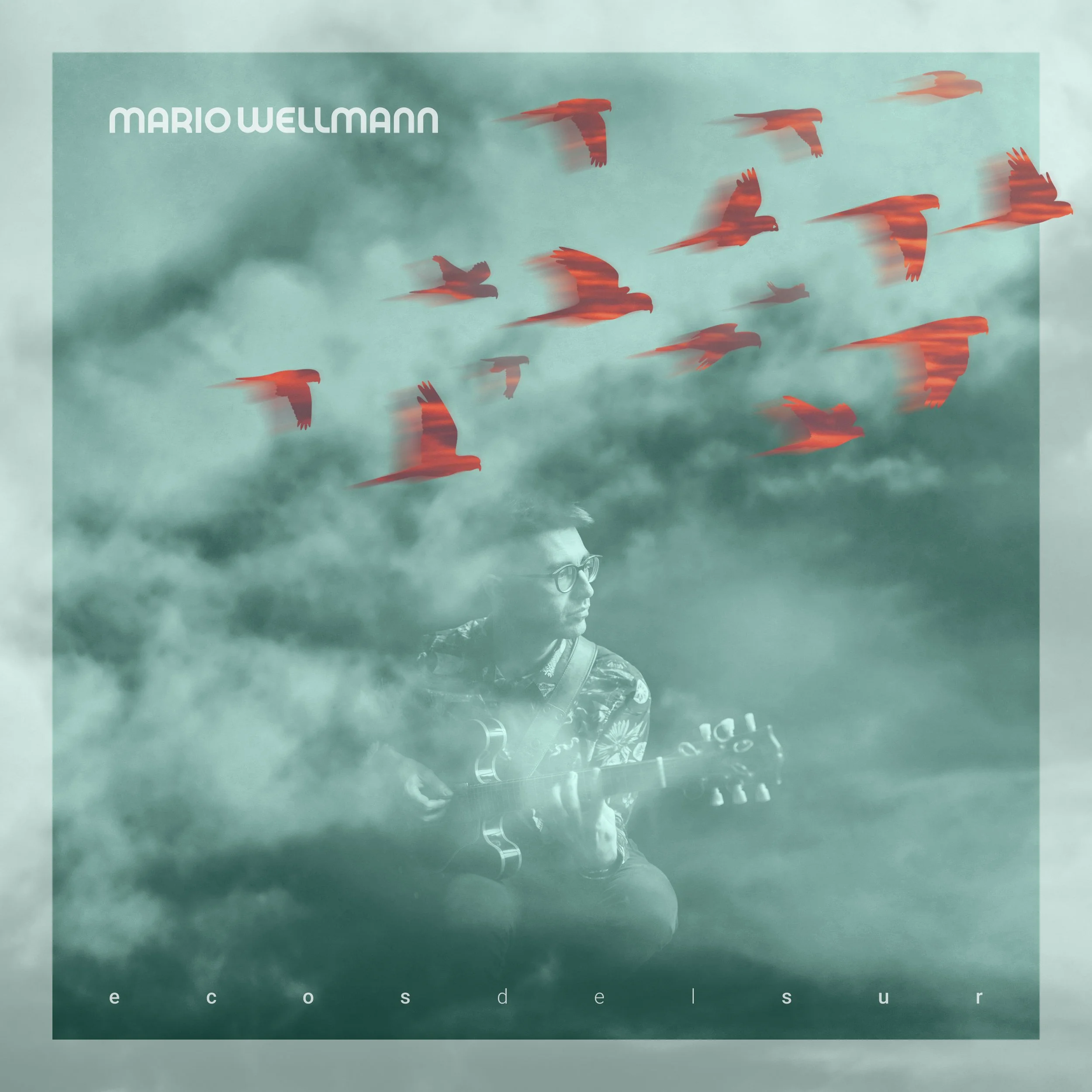 Ecos del Sur album artwork