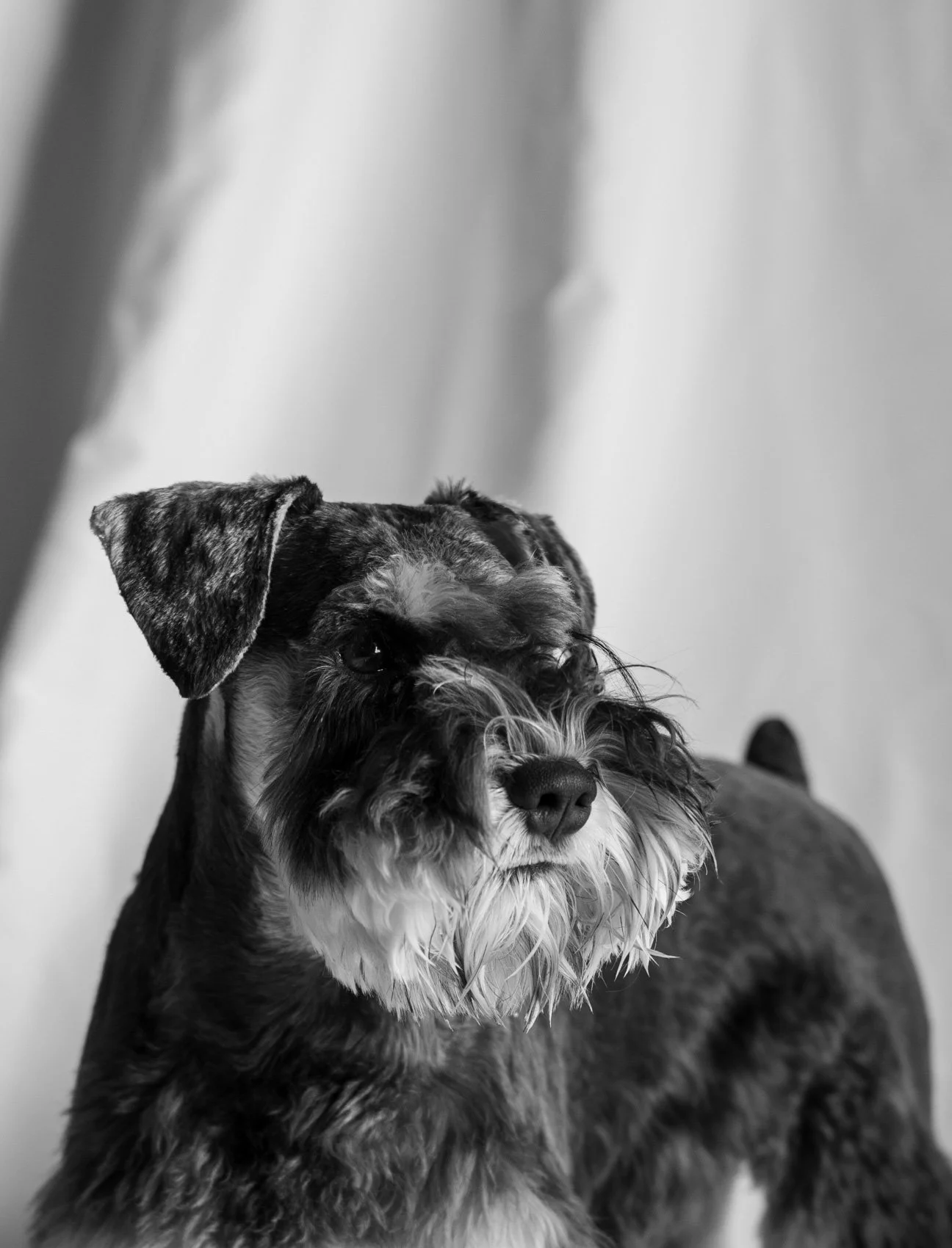 coon-micaela-p1-11.jpg