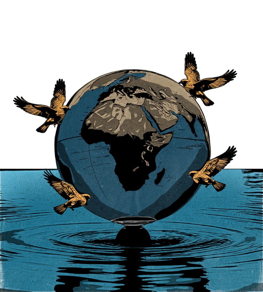 Illustration of the Earth as a globe sitting on water, with four birds flying around it, symbolizing environmental conservation.
