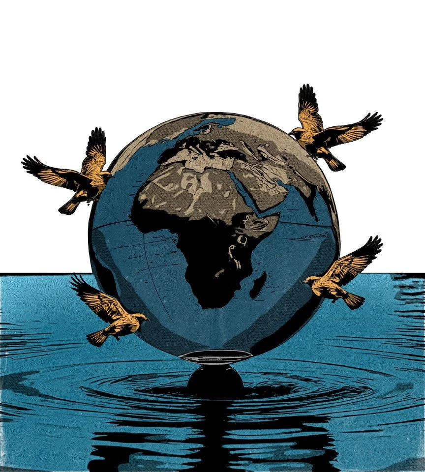 Illustration of the globe showing continents, positioned on water with ripples, surrounded by four flying birds.