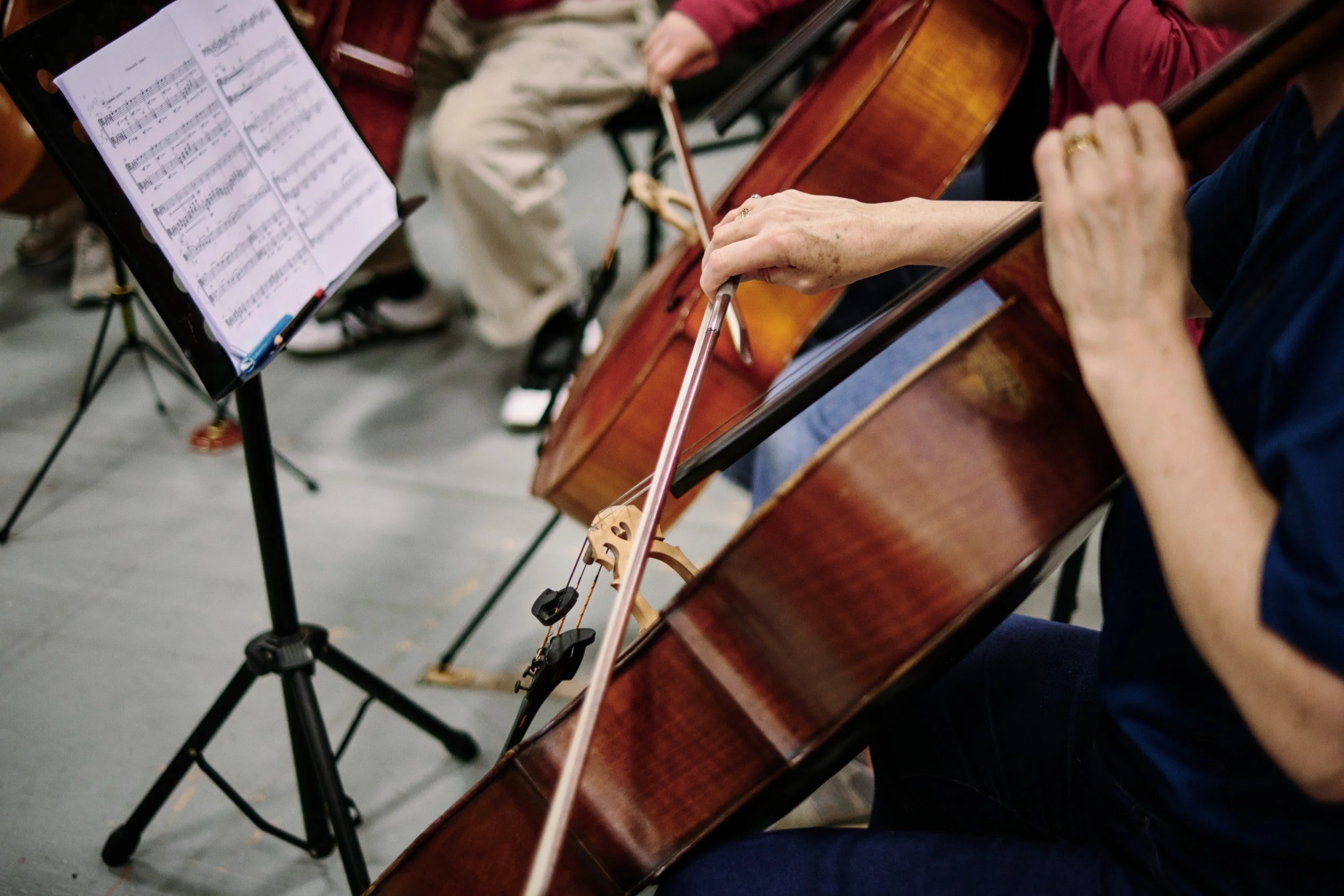 Auckland Friends of Philharmonia