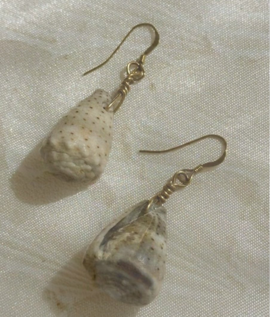 Cone Shell Earrings