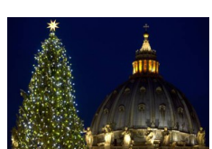 VIENE DAI BOSCHI DI ROSELLO L’ABETE DI PIAZZA SAN PIETRO